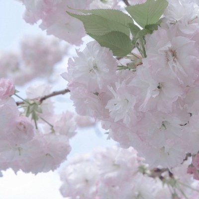 Furry兽圈创作趋势Furry群